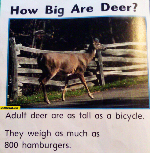 how-big-are-deer-adult-deer-are-as-tall-as-a-bicycle-they-weigh-as-much-as-800-hamburgers