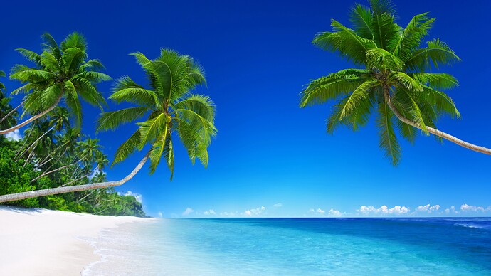 tropical-beach-3840x2160-5k-4k-wallpaper-8k-paradise-palms-sea-blue-11598