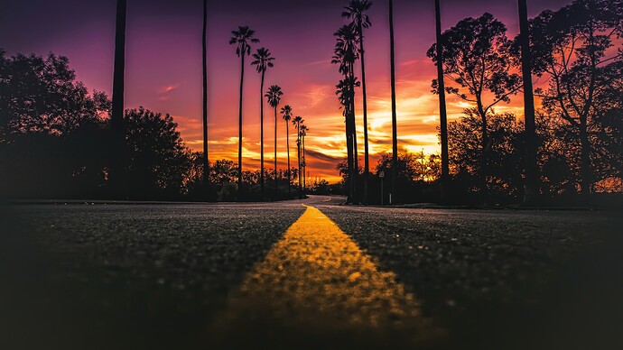 los-angeles-3840x2160-california-road-palms-sunset-4k-19729