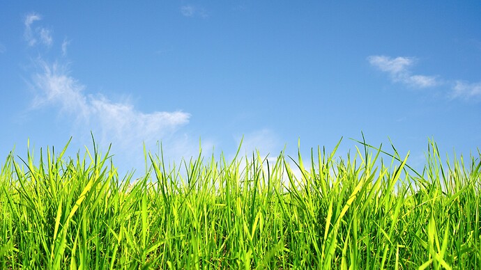 grass-3840x2160-sky-5k-16098