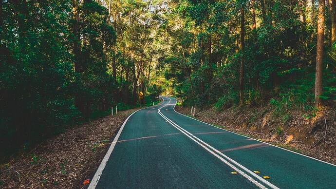 road_marking_turn_trees_forest_118664_3840x2160