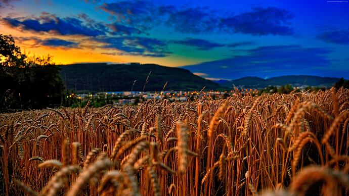 wheat-3840x2160-4k-5k-wallpaper-field-sunset-clouds-hills-5703